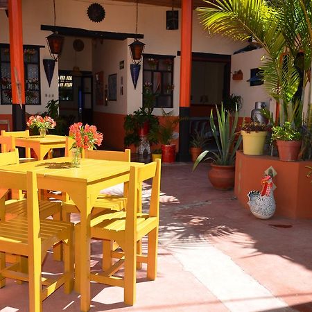 San Cristóbal de Las Casas Hostal El Rincon De Los Camellos المظهر الخارجي الصورة