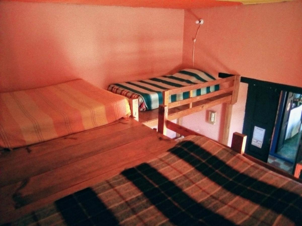 San Cristóbal de Las Casas Hostal El Rincon De Los Camellos المظهر الخارجي الصورة