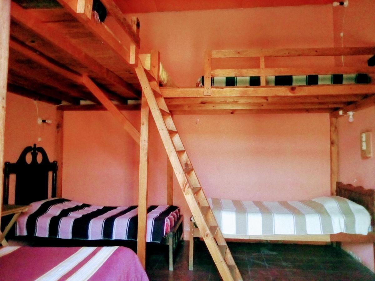 San Cristóbal de Las Casas Hostal El Rincon De Los Camellos المظهر الخارجي الصورة