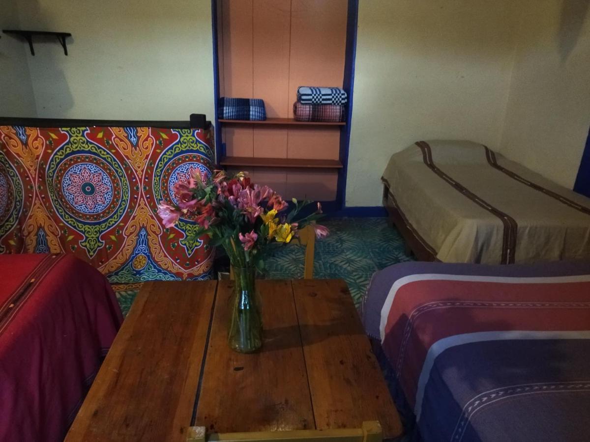 San Cristóbal de Las Casas Hostal El Rincon De Los Camellos المظهر الخارجي الصورة