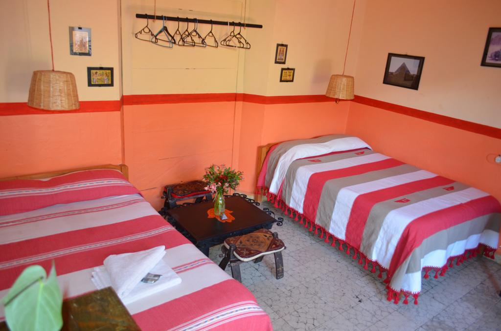 San Cristóbal de Las Casas Hostal El Rincon De Los Camellos المظهر الخارجي الصورة