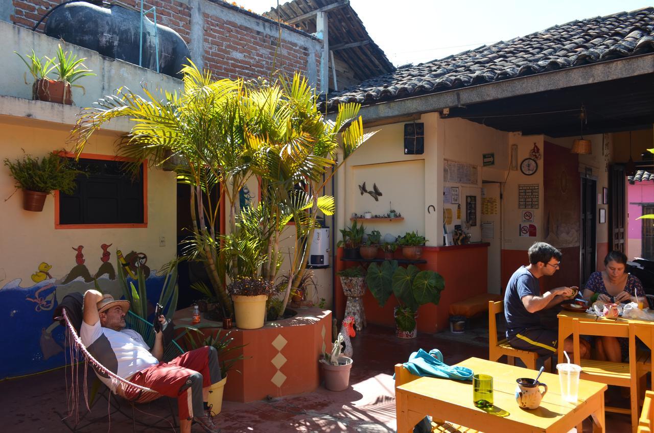 San Cristóbal de Las Casas Hostal El Rincon De Los Camellos المظهر الخارجي الصورة