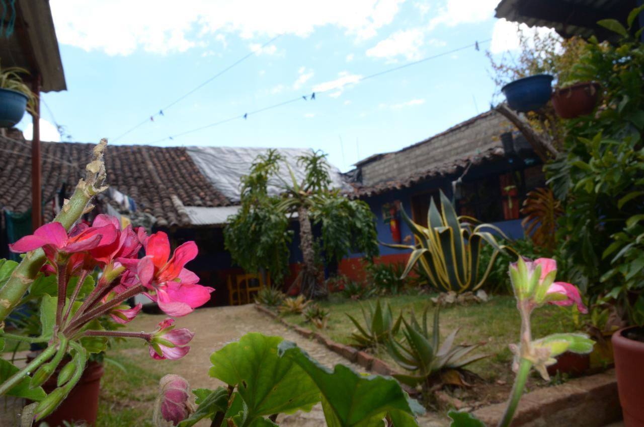San Cristóbal de Las Casas Hostal El Rincon De Los Camellos المظهر الخارجي الصورة