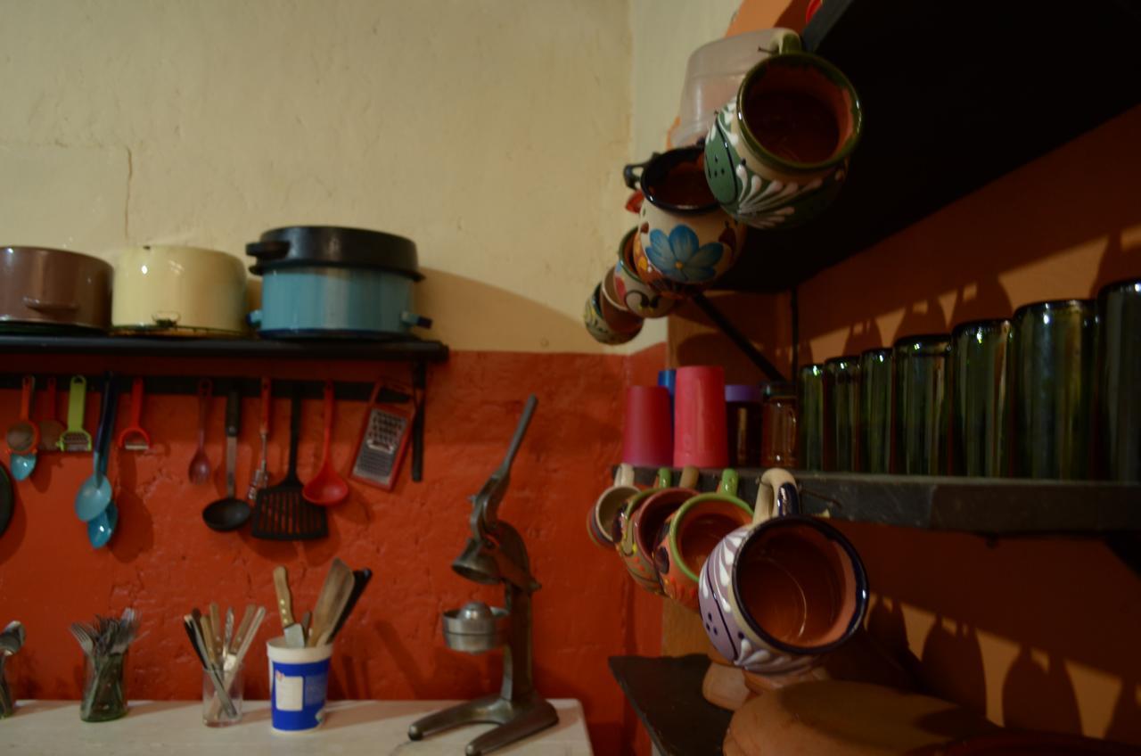 San Cristóbal de Las Casas Hostal El Rincon De Los Camellos المظهر الخارجي الصورة