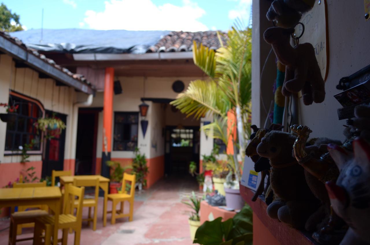 San Cristóbal de Las Casas Hostal El Rincon De Los Camellos المظهر الخارجي الصورة