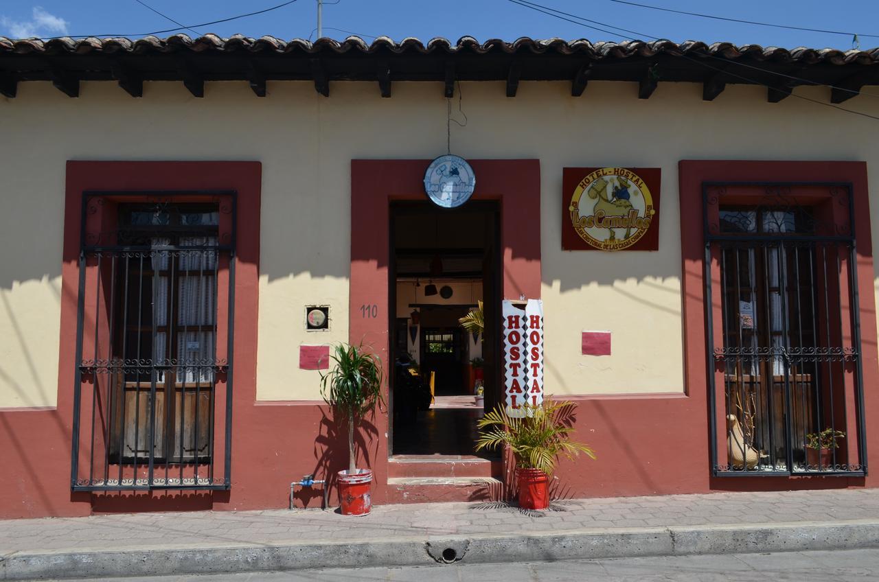 San Cristóbal de Las Casas Hostal El Rincon De Los Camellos المظهر الخارجي الصورة