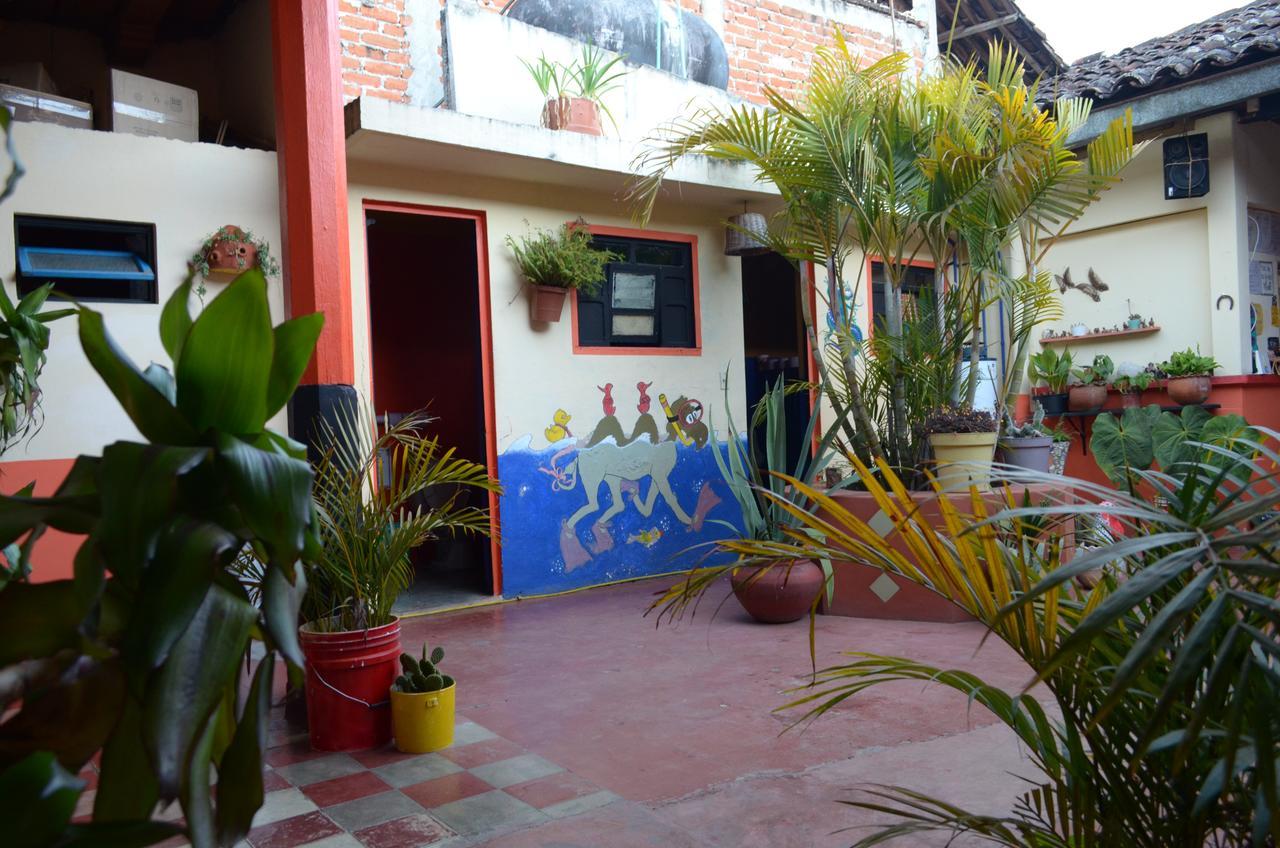 San Cristóbal de Las Casas Hostal El Rincon De Los Camellos المظهر الخارجي الصورة
