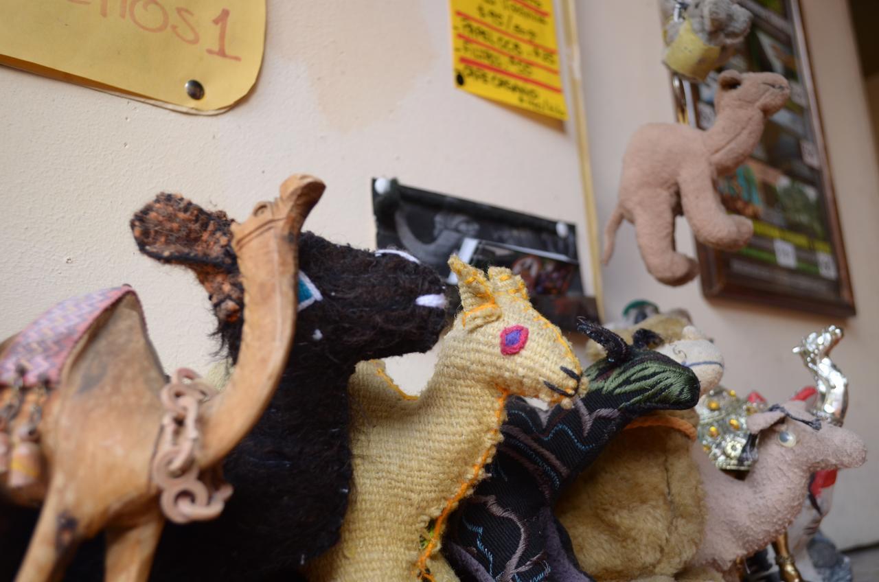 San Cristóbal de Las Casas Hostal El Rincon De Los Camellos المظهر الخارجي الصورة