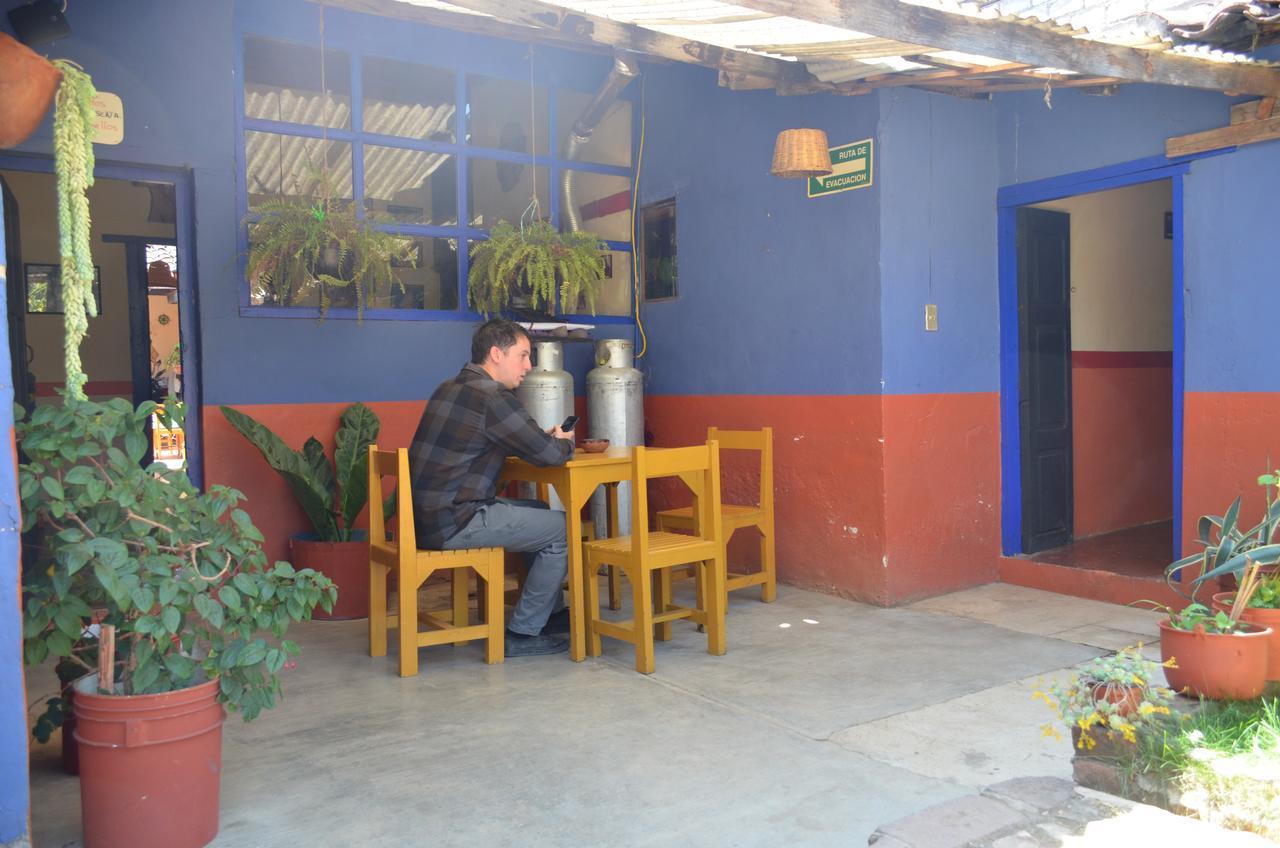 San Cristóbal de Las Casas Hostal El Rincon De Los Camellos المظهر الخارجي الصورة