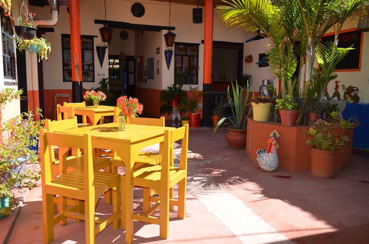 San Cristóbal de Las Casas Hostal El Rincon De Los Camellos المظهر الخارجي الصورة