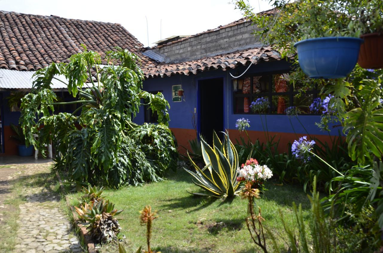 San Cristóbal de Las Casas Hostal El Rincon De Los Camellos المظهر الخارجي الصورة