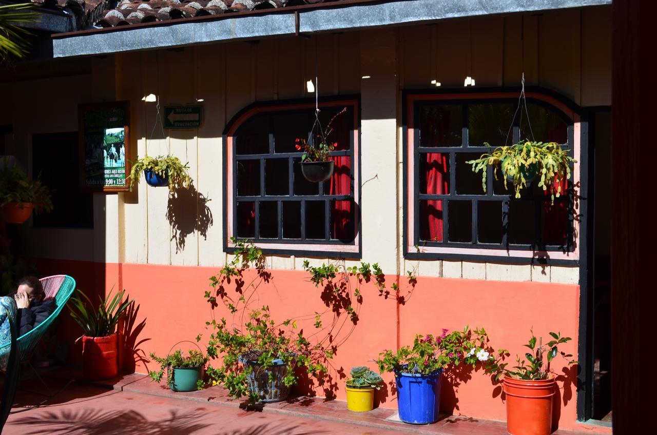 San Cristóbal de Las Casas Hostal El Rincon De Los Camellos المظهر الخارجي الصورة