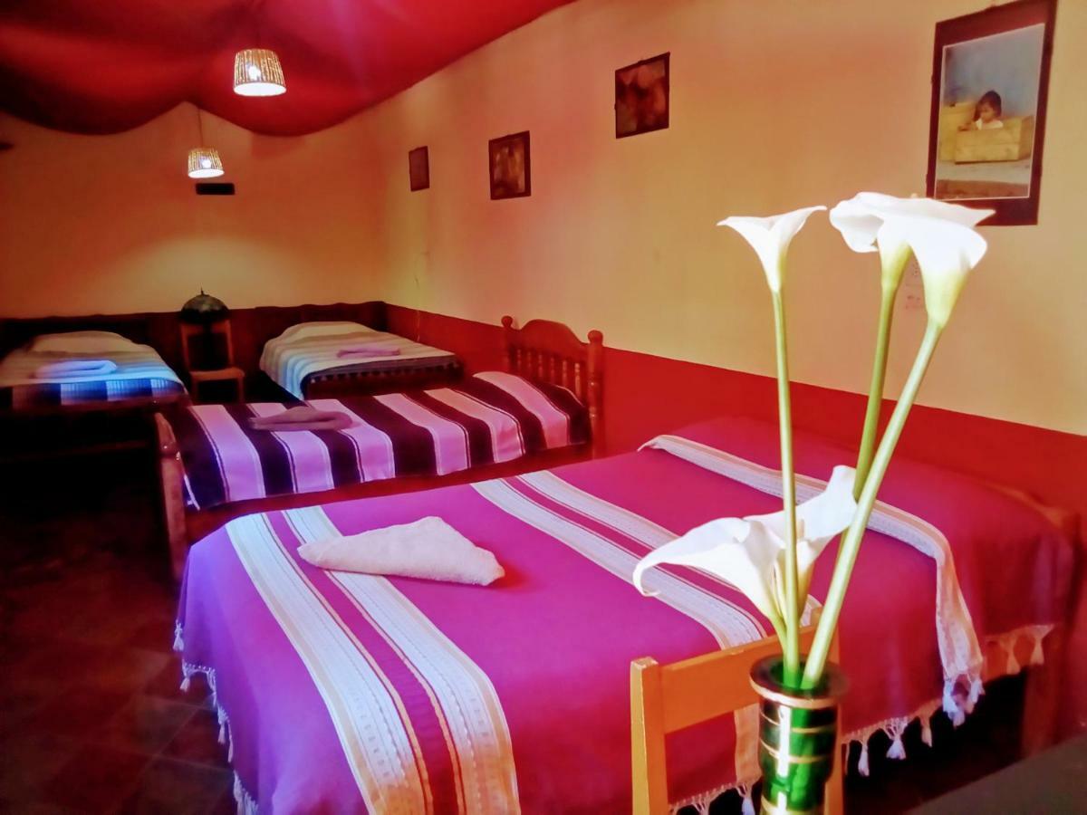 San Cristóbal de Las Casas Hostal El Rincon De Los Camellos المظهر الخارجي الصورة