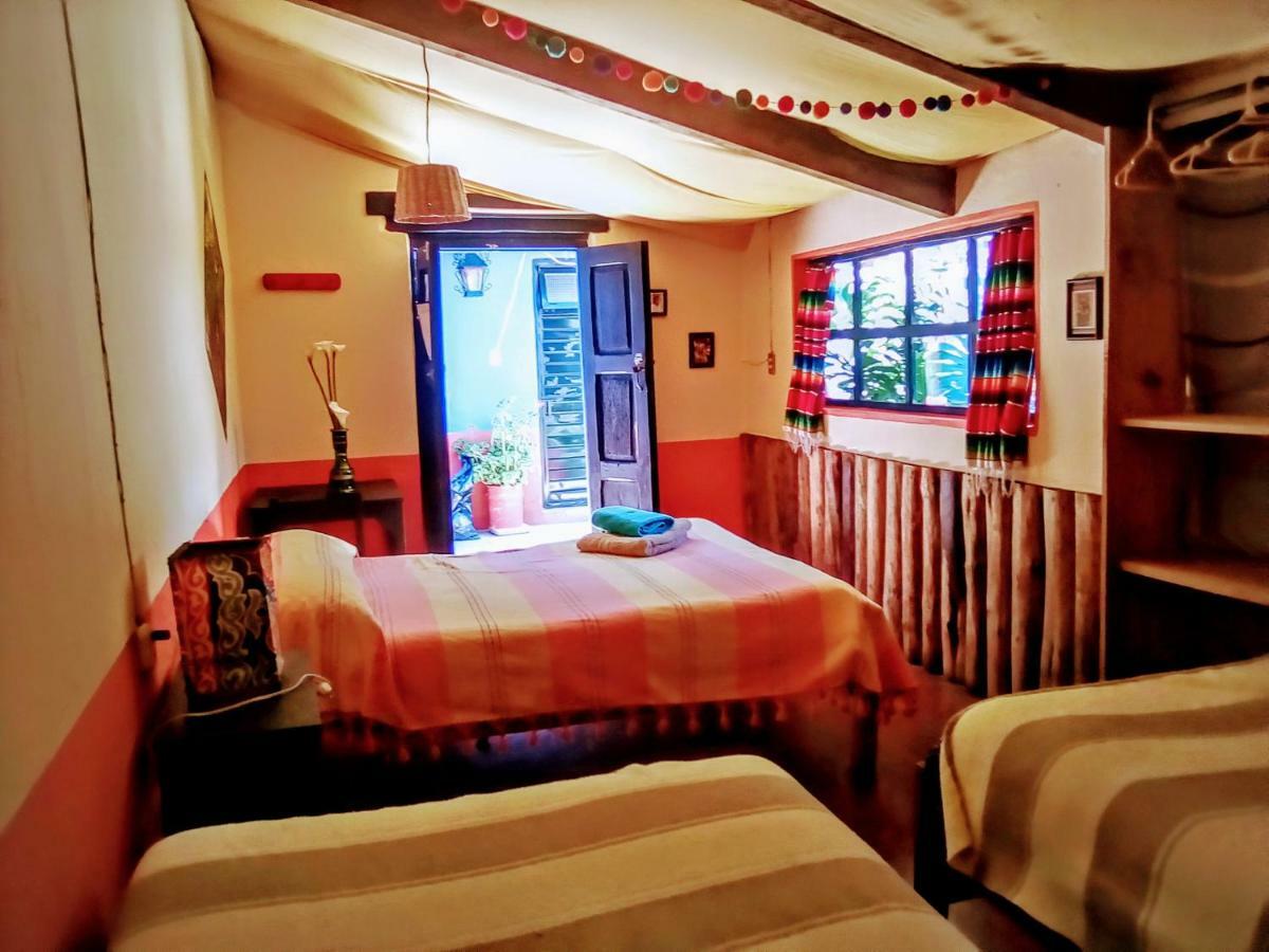 San Cristóbal de Las Casas Hostal El Rincon De Los Camellos المظهر الخارجي الصورة