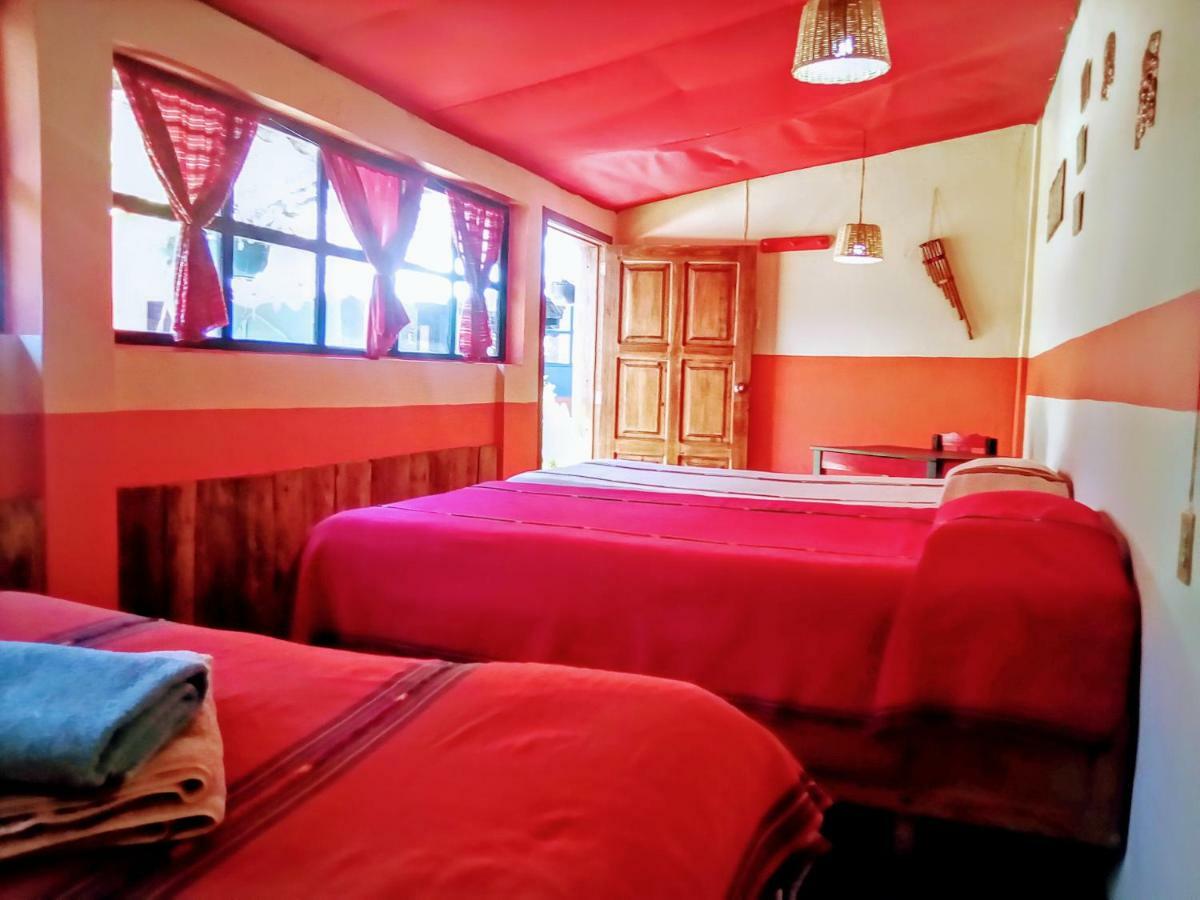 San Cristóbal de Las Casas Hostal El Rincon De Los Camellos المظهر الخارجي الصورة